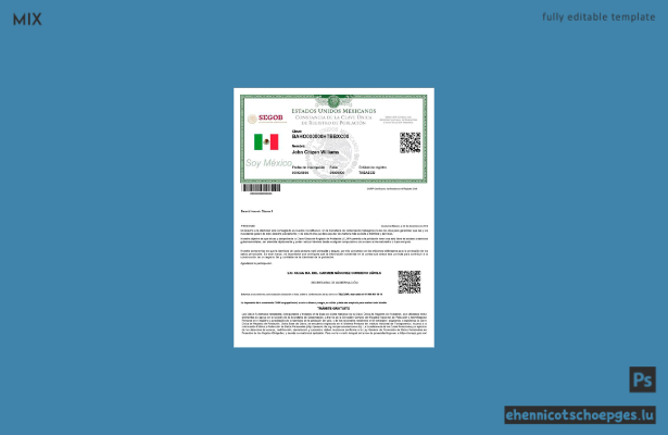 Mexikanisches Bevölkerungsregister (CURP-Nummer PSD), Version 2 – Beispielvorschau